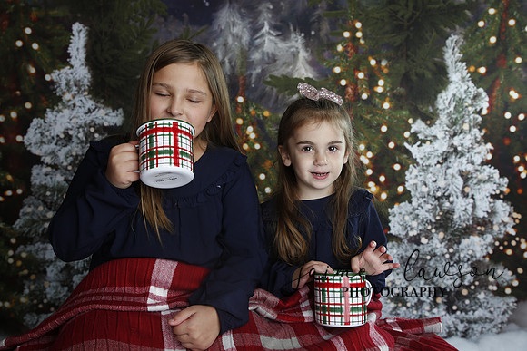 2019 Holiday Mini Session - Necci