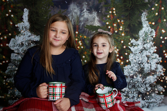 2019 Holiday Mini Session - Necci