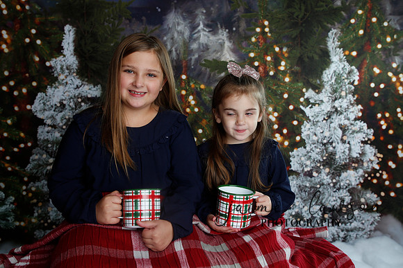 2019 Holiday Mini Session - Necci