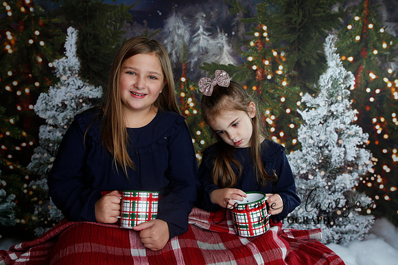 2019 Holiday Mini Session - Necci