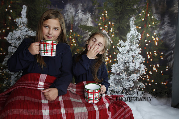 2019 Holiday Mini Session - Necci