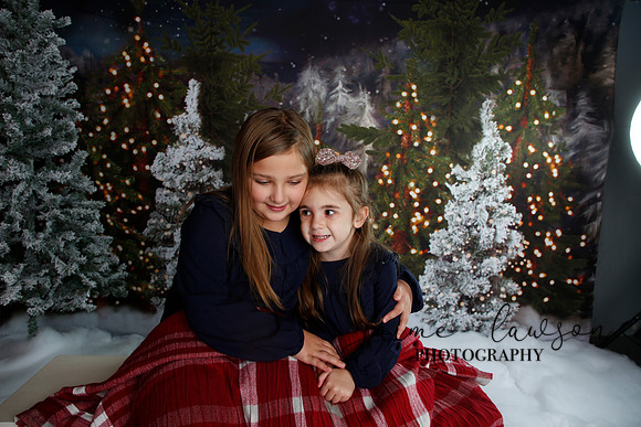 2019 Holiday Mini Session - Necci