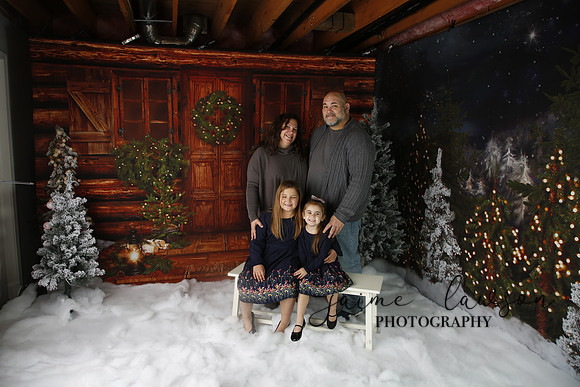 2019 Holiday Mini Session - Necci