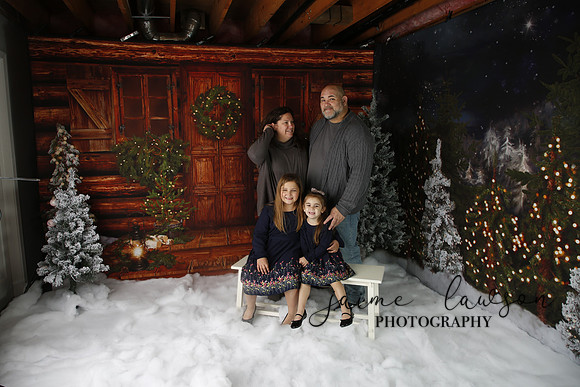 2019 Holiday Mini Session - Necci
