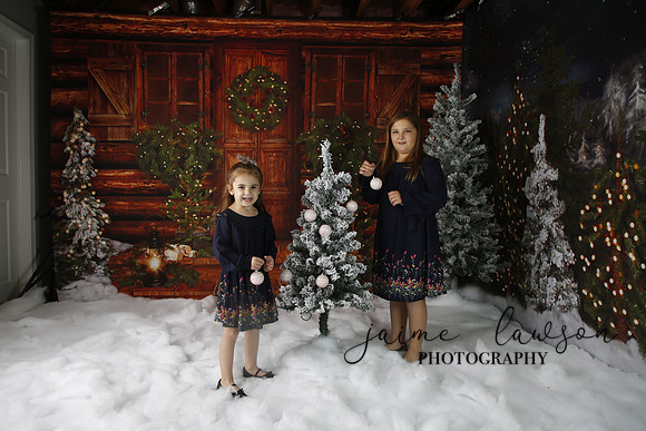 2019 Holiday Mini Session - Necci