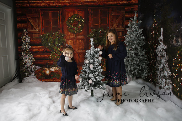 2019 Holiday Mini Session - Necci