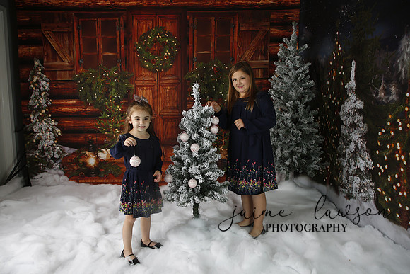 2019 Holiday Mini Session - Necci