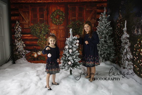 2019 Holiday Mini Session - Necci