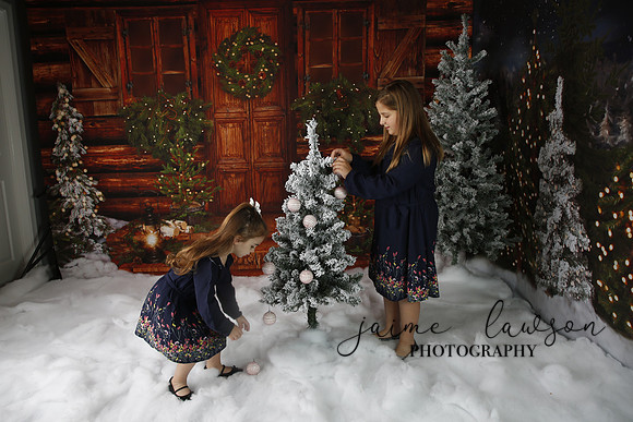 2019 Holiday Mini Session - Necci