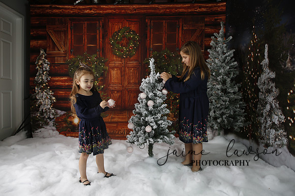 2019 Holiday Mini Session - Necci