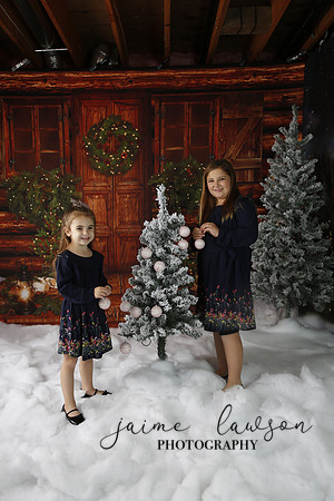 2019 Holiday Mini Session - Necci