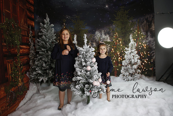 2019 Holiday Mini Session - Necci