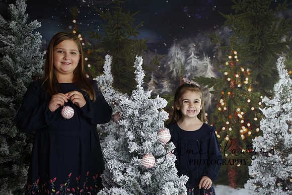 2019 Holiday Mini Session - Necci