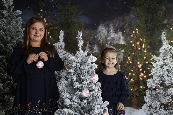 2019 Holiday Mini Session - Necci
