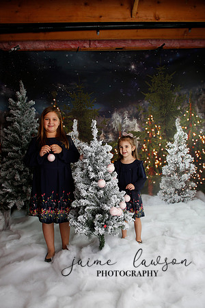 2019 Holiday Mini Session - Necci