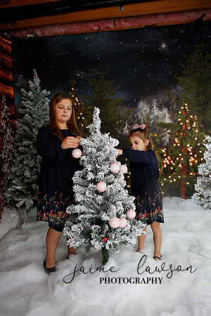 2019 Holiday Mini Session - Necci