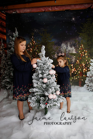2019 Holiday Mini Session - Necci