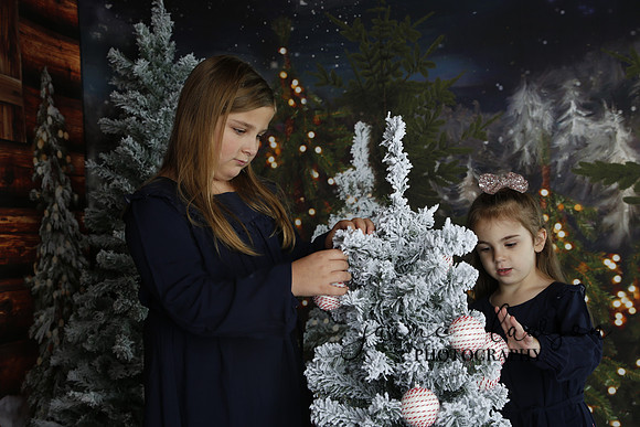 2019 Holiday Mini Session - Necci