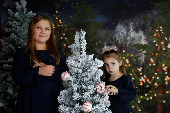 2019 Holiday Mini Session - Necci