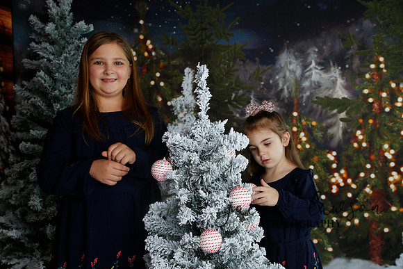 2019 Holiday Mini Session - Necci
