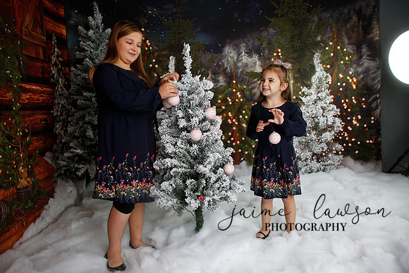 2019 Holiday Mini Session - Necci
