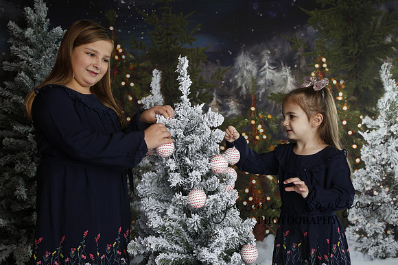 2019 Holiday Mini Session - Necci