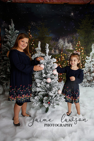 2019 Holiday Mini Session - Necci