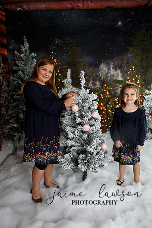 2019 Holiday Mini Session - Necci