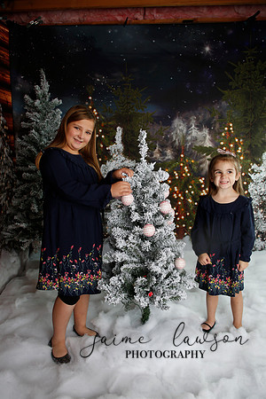 2019 Holiday Mini Session - Necci