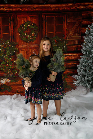 2019 Holiday Mini Session - Necci
