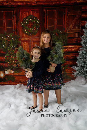 2019 Holiday Mini Session - Necci