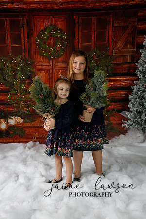 2019 Holiday Mini Session - Necci