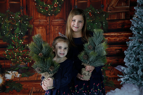 2019 Holiday Mini Session - Necci