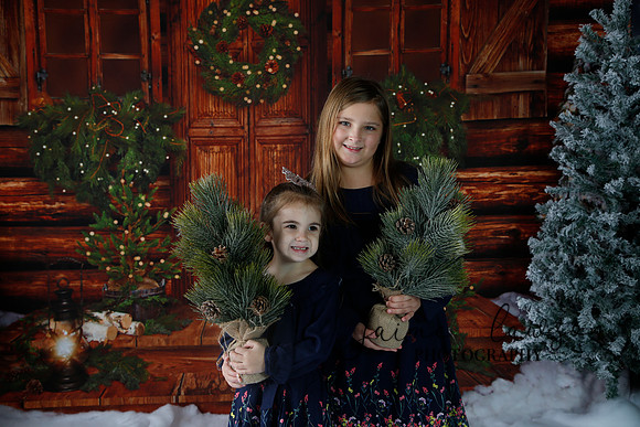 2019 Holiday Mini Session - Necci