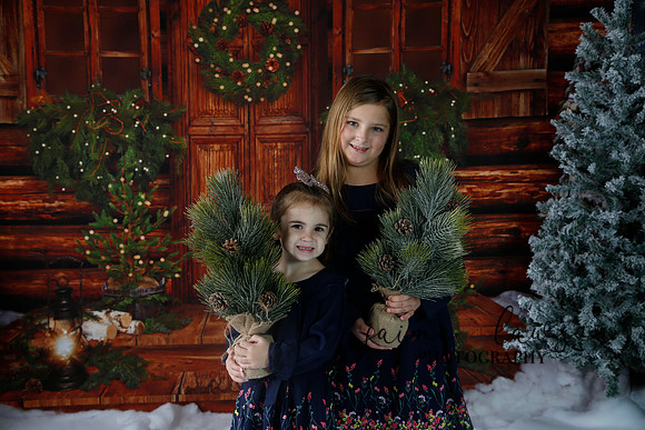 2019 Holiday Mini Session - Necci