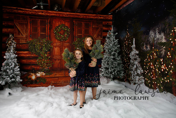2019 Holiday Mini Session - Necci
