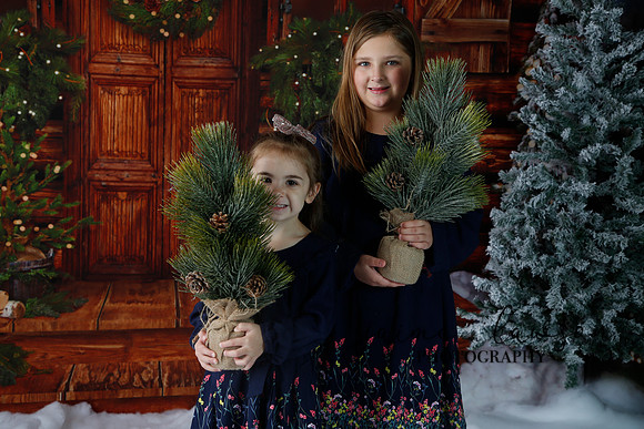 2019 Holiday Mini Session - Necci