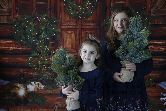 2019 Holiday Mini Session - Necci