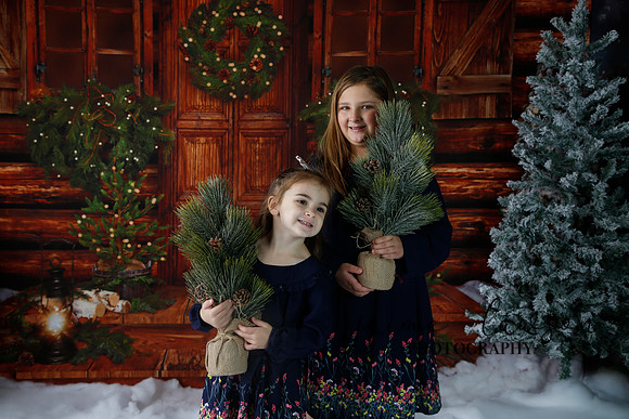 2019 Holiday Mini Session - Necci