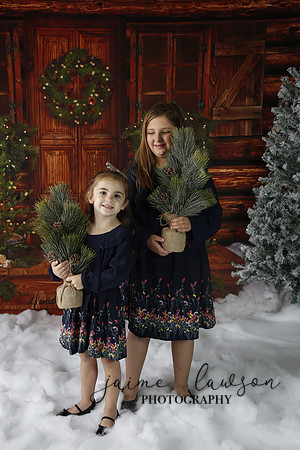 2019 Holiday Mini Session - Necci
