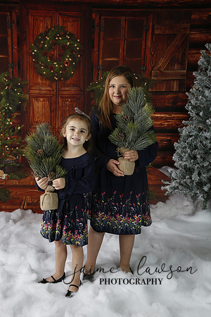 2019 Holiday Mini Session - Necci