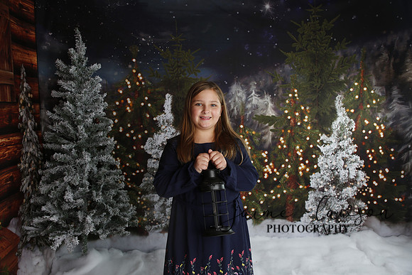2019 Holiday Mini Session - Necci