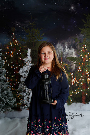 2019 Holiday Mini Session - Necci