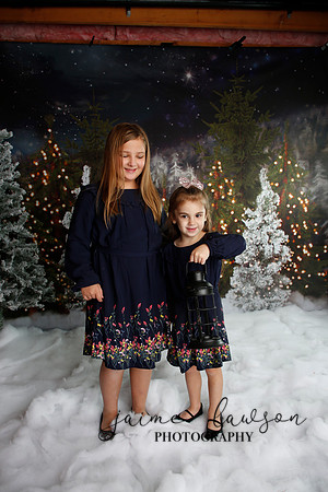 2019 Holiday Mini Session - Necci