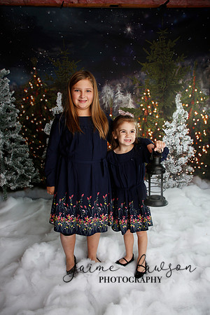 2019 Holiday Mini Session - Necci