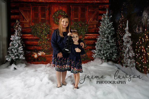 2019 Holiday Mini Session - Necci