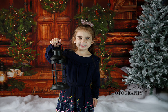 2019 Holiday Mini Session - Necci