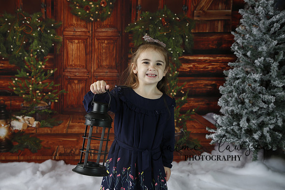 2019 Holiday Mini Session - Necci