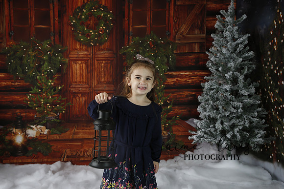 2019 Holiday Mini Session - Necci