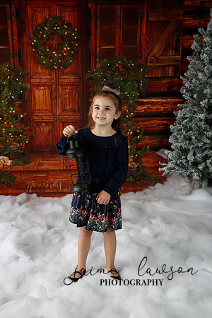 2019 Holiday Mini Session - Necci